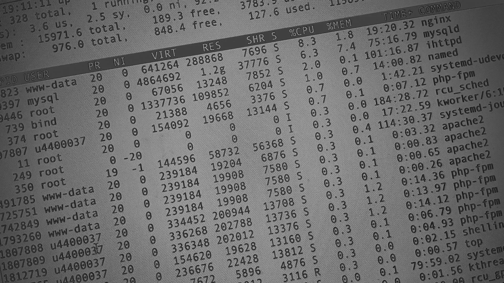 Настройка сервера в Реже Настройка сервера в Реже