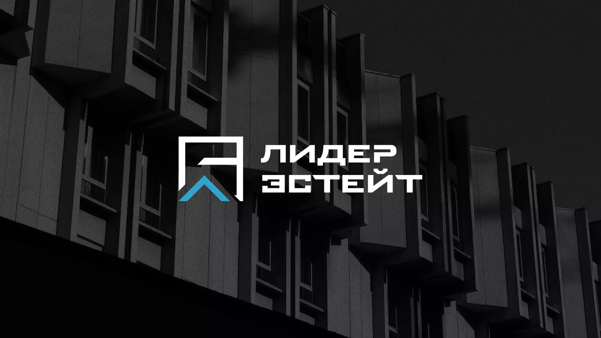 Разработка логотипа агентства недвижимости «Лидер Эстейт» в Реже